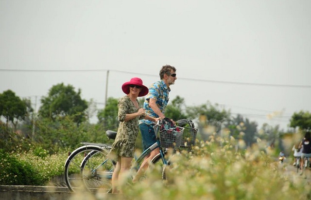 da-nang-cong-bo-loat-su-kien-to-chuc-o-pho-co-hoi-an-my-son-tu-nay-den-tet