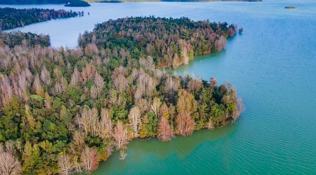 dep-me-man-canh-rung-phong-huong-ruc-do-nhu-troi-au-o-mien-tay-quang-tri