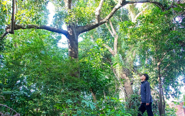 kham-pha-khu-rung-thieng-giua-long-da-nang-duoc-nguoi-dan-dong-long-bao-ve