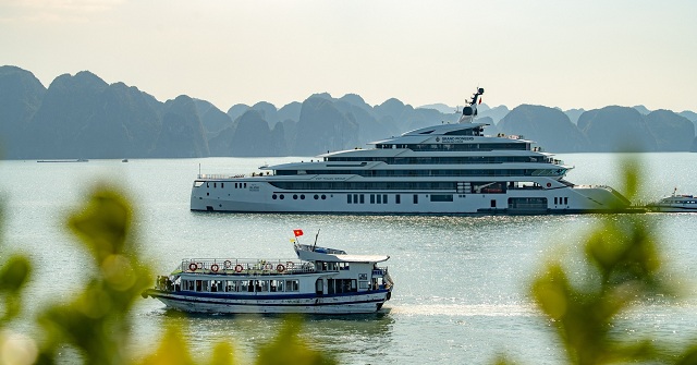 vinh-ha-long-co-hang-du-thuyen-xanh-tot-nhat-the-gioi