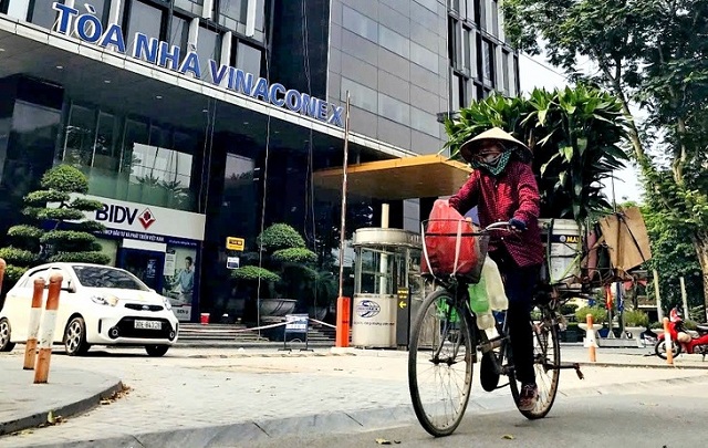 viwaseen-ma-vinaconex-bo-nghin-ti-de-thau-tom-doanh-thu-hang-tram-ti-nam-loat-lo-dat-vang