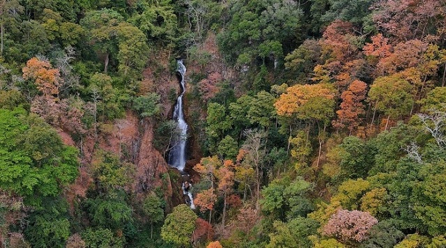 ly-son-mang-den-thanh-diem-den-moi-noi-mo-cua-cho-du-lich-quang-ngai