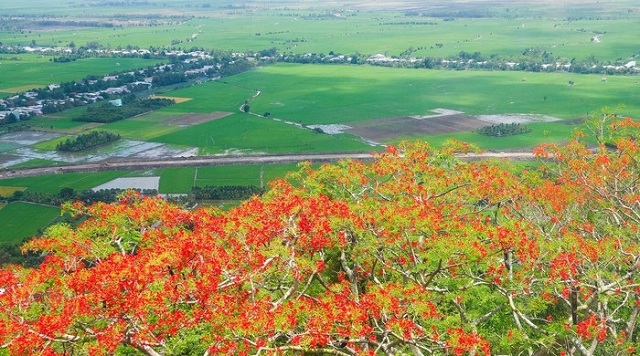 ve-vieng-ba-chua-xu-nui-sam-ngam-hoa-phuong-no-ruc-do-ngay-he