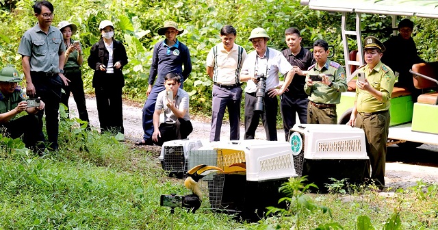 vuon-quoc-gia-phong-nha-ke-bang-mo-huong-du-lich-ngam-chim-hoang-da
