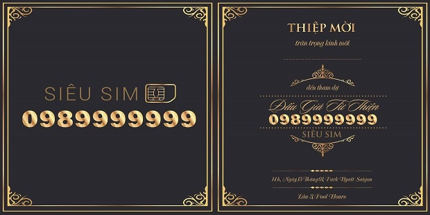 ngoc-trinh-sim-khung